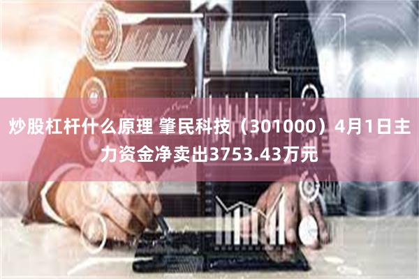 炒股杠杆什么原理 肇民科技（301000）4月1日主力资金净卖出3753.43万元