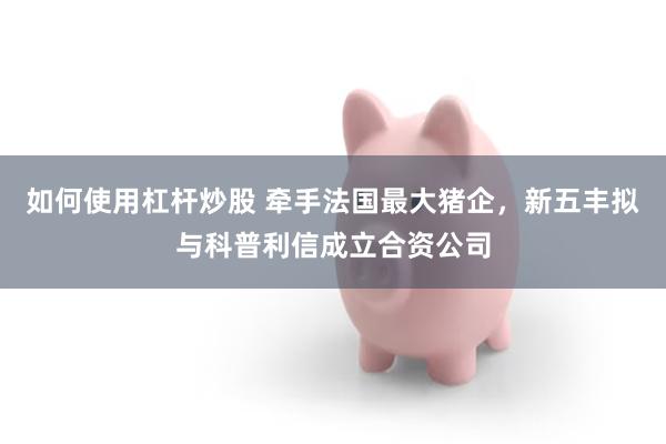 如何使用杠杆炒股 牵手法国最大猪企，新五丰拟与科普利信成立合资公司