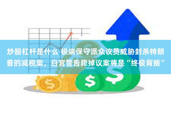 炒股杠杆是什么 极端保守派众议员威胁封杀特朗普的减税案，白宫警告毙掉议案将是“终极背叛”