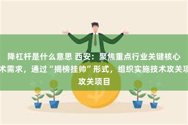 降杠杆是什么意思 西安：聚焦重点行业关键核心技术需求，通过“揭榜挂帅”形式，组织实施技术攻关项目