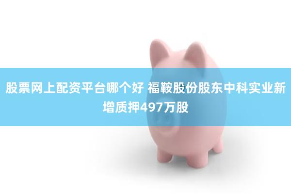 股票网上配资平台哪个好 福鞍股份股东中科实业新增质押497万股