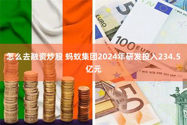 怎么去融资炒股 蚂蚁集团2024年研发投入234.5亿元