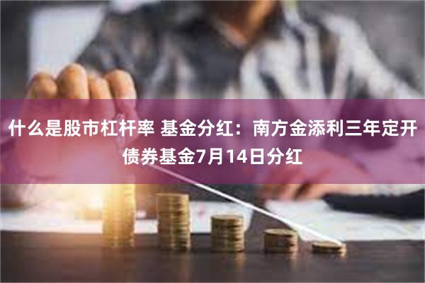 什么是股市杠杆率 基金分红：南方金添利三年定开债券基金7月14日分红