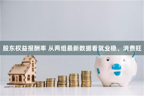 股东权益报酬率 从两组最新数据看就业稳、消费旺