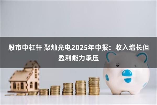 股市中杠杆 聚灿光电2025年中报：收入增长但盈利能力承压
