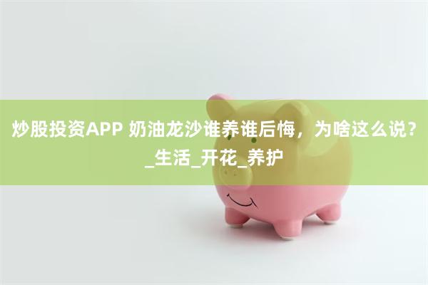炒股投资APP 奶油龙沙谁养谁后悔，为啥这么说？_生活_开花_养护