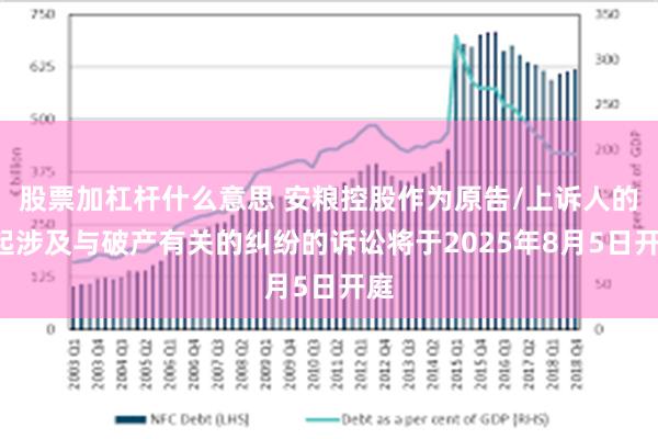 股票加杠杆什么意思 安粮控股作为原告/上诉人的1起涉及与破产有关的纠纷的诉讼将于2025年8月5日开庭