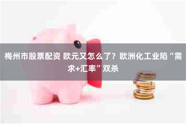梅州市股票配资 欧元又怎么了？欧洲化工业陷“需求+汇率”双杀