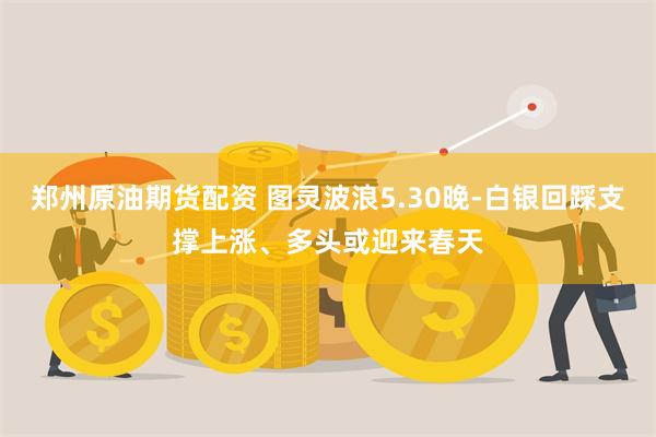 郑州原油期货配资 图灵波浪5.30晚-白银回踩支撑上涨、多头或迎来春天
